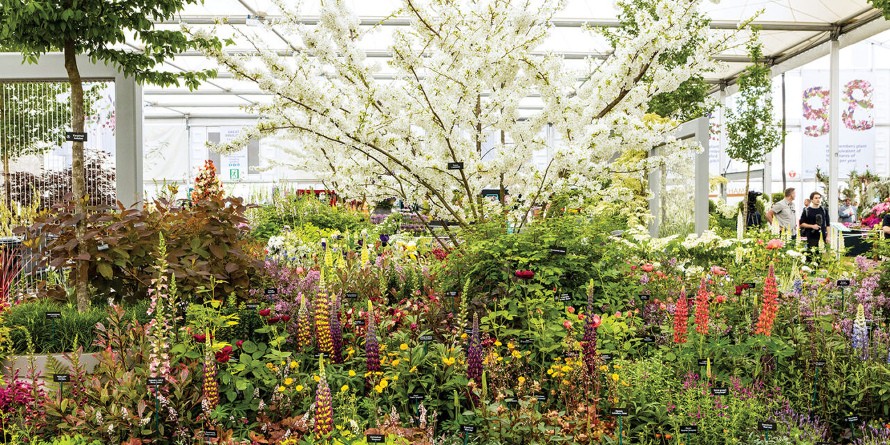 Chelsea Flower Show 2022 to Honor the Queen’s Platinum Jubilee