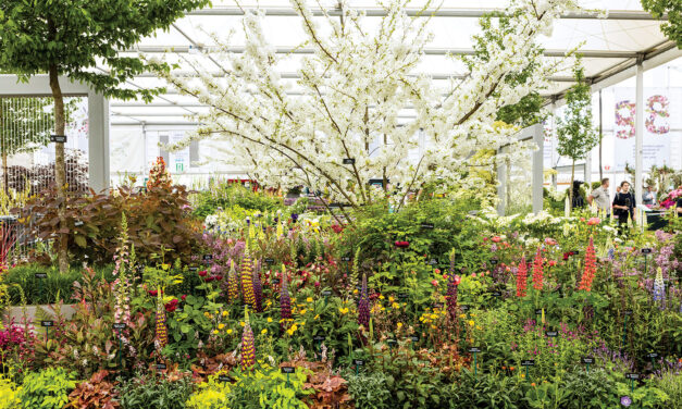 Chelsea Flower Show 2022 to Honor the Queen’s Platinum Jubilee