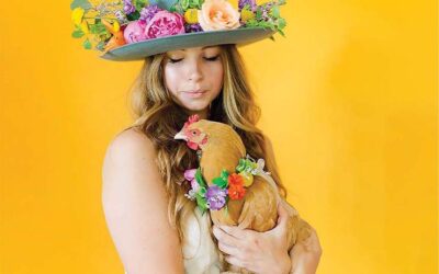 Submission For Creative Pet Florals