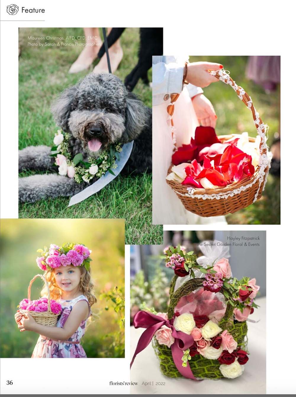 Dog flower best sale girl ideas