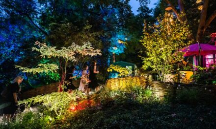 Things To Do & See During 2022 RHS Chelsea Flower Show