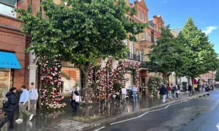 Flowers Festival Blooming at Chelsea Storefronts and Streets