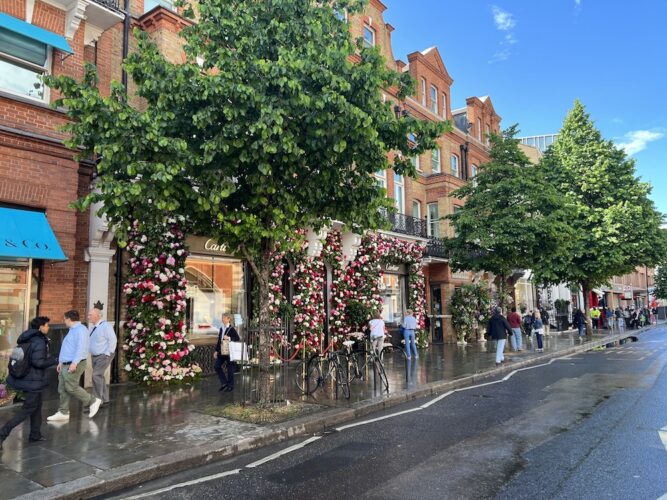 Flowers Festival Blooming at Chelsea Storefronts and Streets