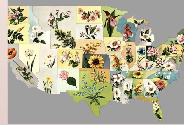 The 50 State Flower Garden Project