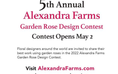 Fifth Annual Alexandra Farms Garden Rose Design Contest