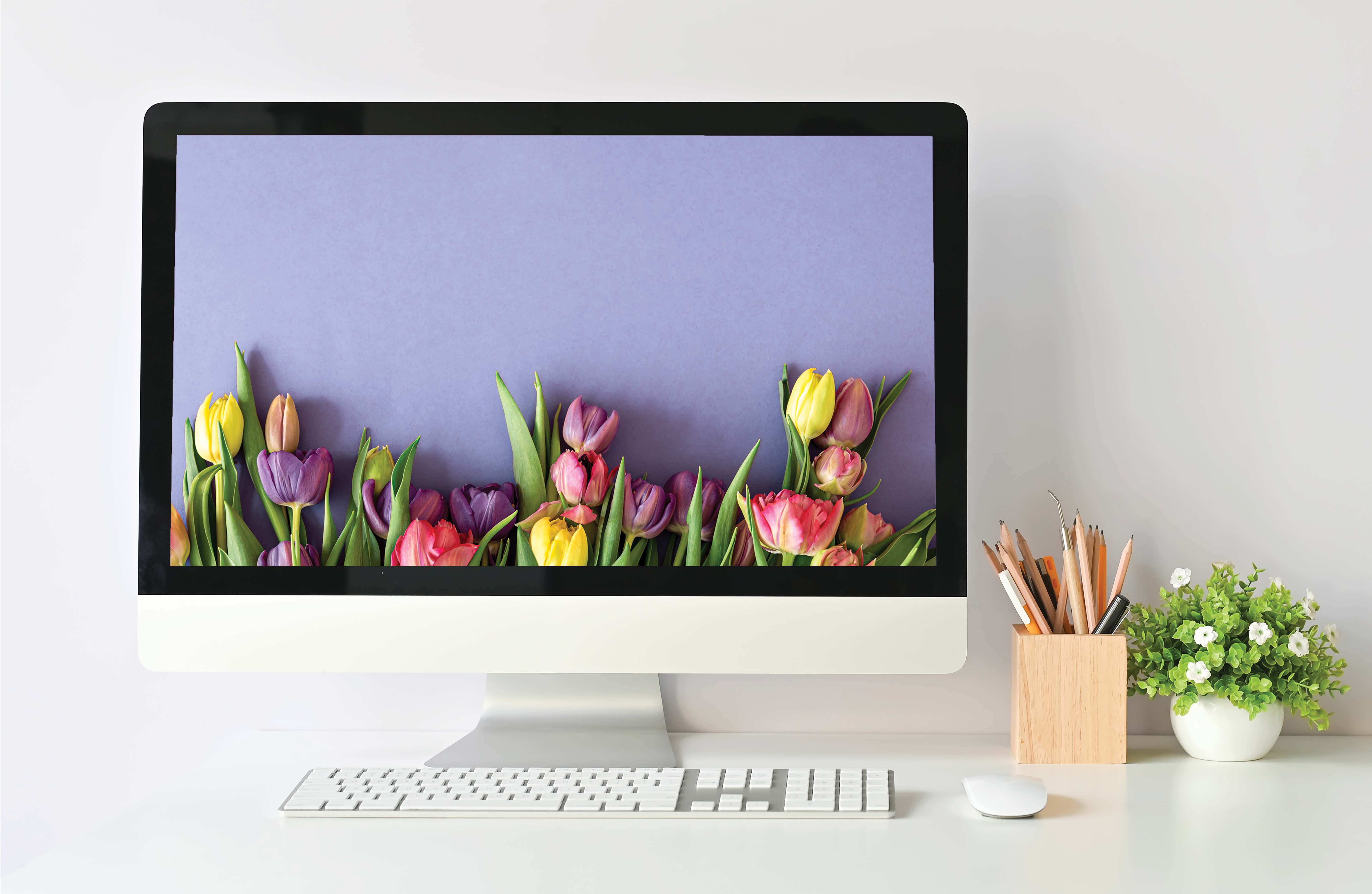 Online Education Directory for Florists