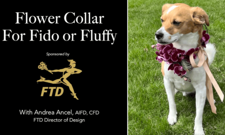 Flower Collar for Fido or Fluffy