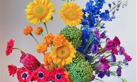 Why Florists Celebrate Pride Month in June and October