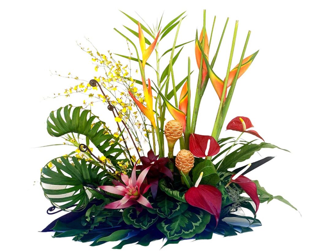 tropical arrangement