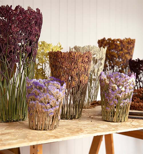 Pressing dried flowers