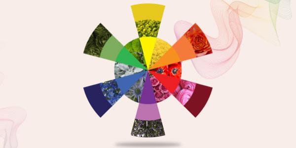 How To Use A Flower Color Wheel to Achieve Spectacular Results