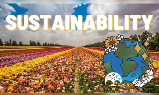 AFE Education & Resources for Sustainability in the Floral Industry