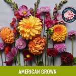 American Flowers and Foliage Month