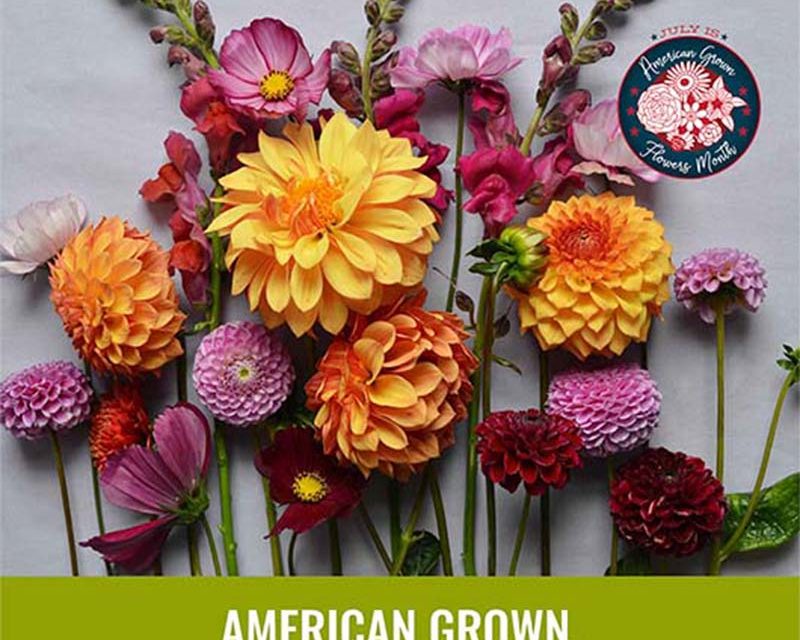 American Flowers and Foliage Month