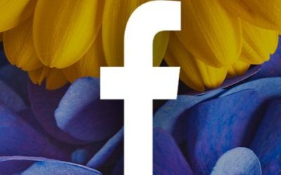 FACEBOOK TRENDS FOR 2022 TO INCORPORATE INTO YOUR MARKETING STRATEGY