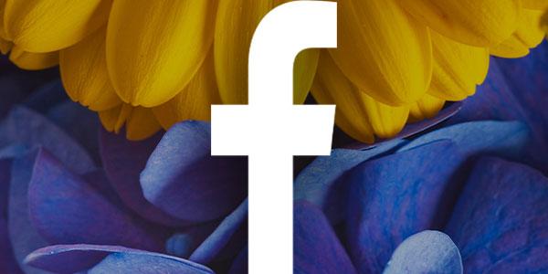 FACEBOOK TRENDS FOR 2022 TO INCORPORATE INTO YOUR MARKETING STRATEGY