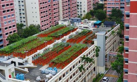 How Singapore is turning multi-storey car parks into farms