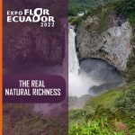 Expo Flor Ecuador 2022
