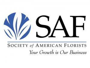 SAF logo