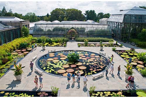 A Day at Longwood Gardens