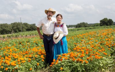 Specialty Flower Farm in Texas to Host Seasonally Focused Field to Vase Dinner