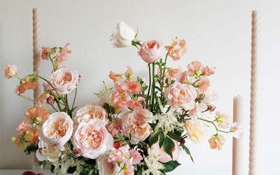 2022 “Garden Rose Design Contest” Winners