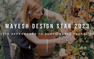 Mayesh is Searching for its 2023 Mayesh Design Star