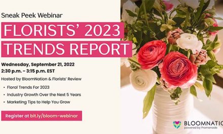 Florists’ 2023 Trends Report: Sneak Peek Webinar September 21st