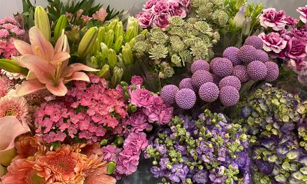 Global Cut Flowers Market to Hit Sales of $47.9 Billion by 2030