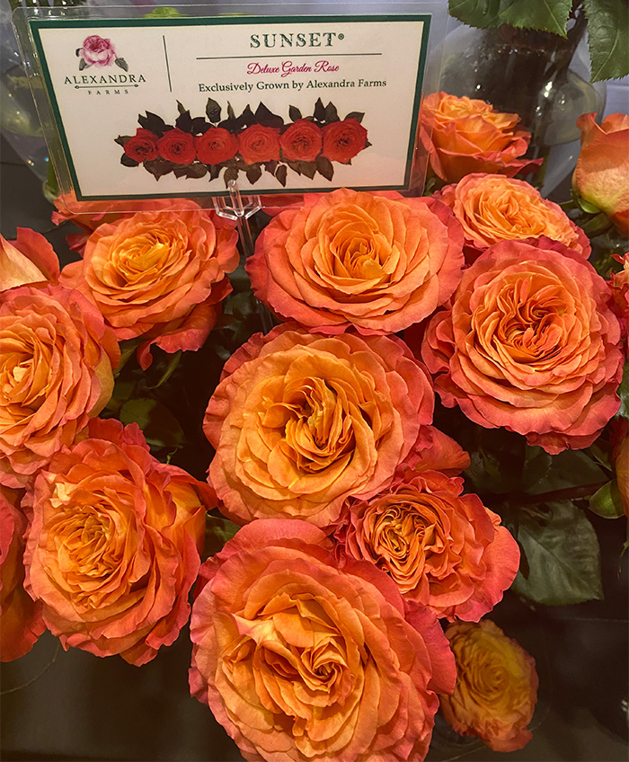 Display at Global producr and floral show. Roses from Alexandra Farms