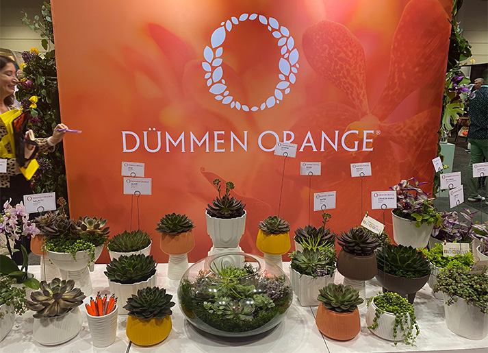 Display at Global producr and floral show.Dummen Orange