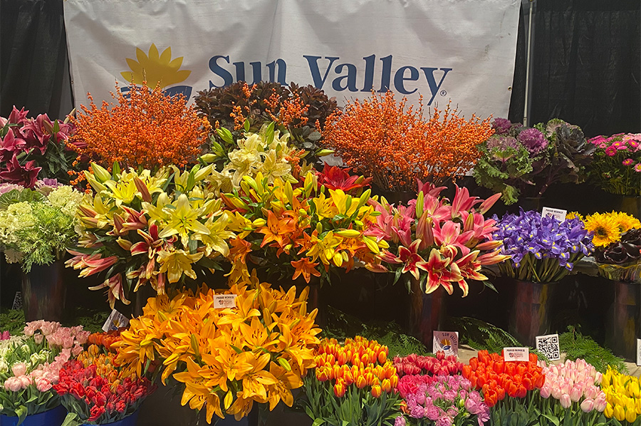 Display at Global producr and floral show.Sun Valley