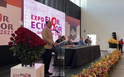 Ecuador’s Flower Industry Keeps Blooming