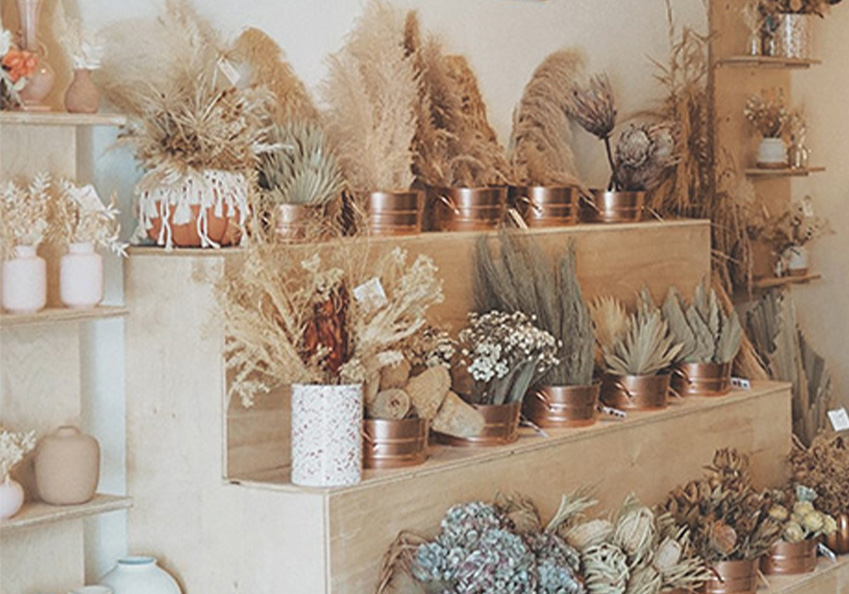 Dried Botanical Trends Across the Pond