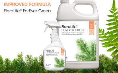 New, Improved FloraLife ForEver Green Solution