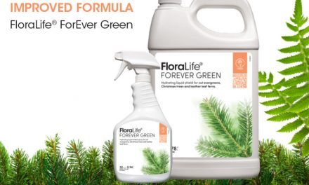 New, Improved FloraLife ForEver Green Solution