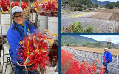 The Innovation Behind The Sun Valley Group’s Patented Winter Spirit ILEX