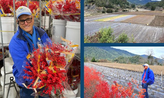 The Innovation Behind The Sun Valley Group’s Patented Winter Spirit ILEX