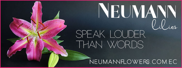 nuemann lilies banner ad