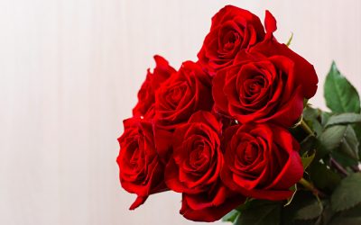Valentine’s Day Profit Planner