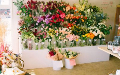 Studio Versus Store: Which Business Model is Right for You? 