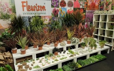 U.S. Tropicals market expected to increase again