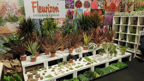 U.S. Tropicals market expected to increase again