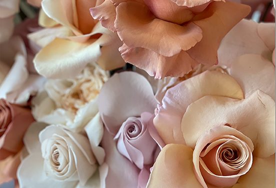 Rose-colored Love