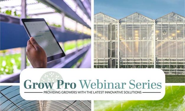 AFE Grow Pro Webinar Series Released