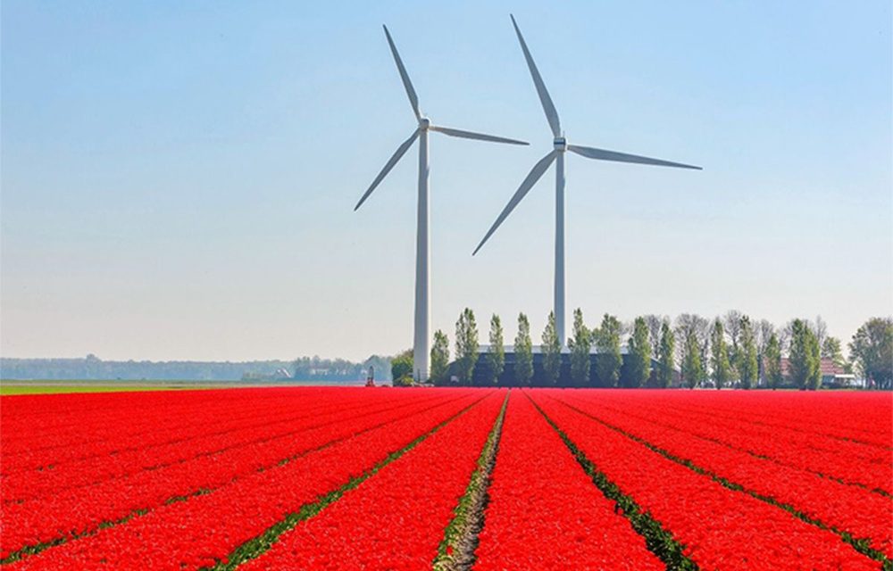 Netherlands – The Land of Tulips