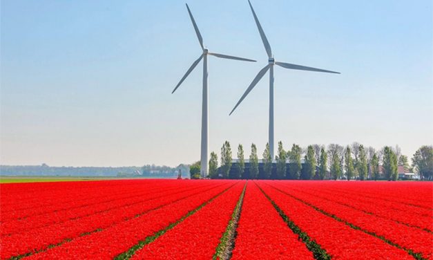 Netherlands – The Land of Tulips