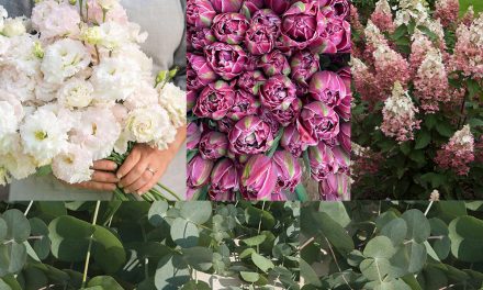 ASCFG Announces 2023 Cut Flowers of the Year