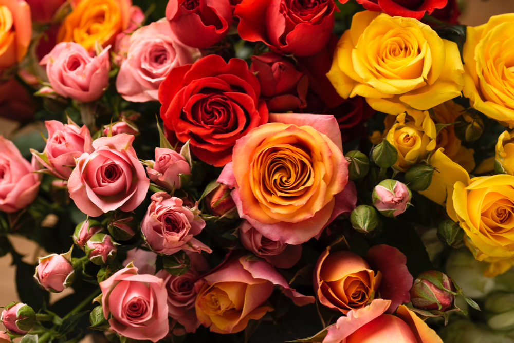 From You Flowers and FTD Announce Merger