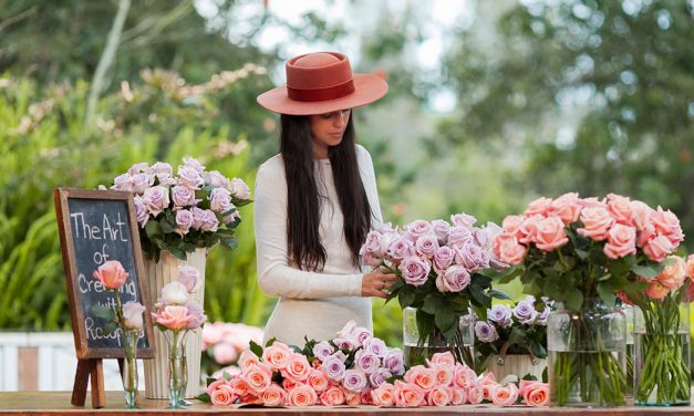 Rosaprima Launches Four New Rose Varieties